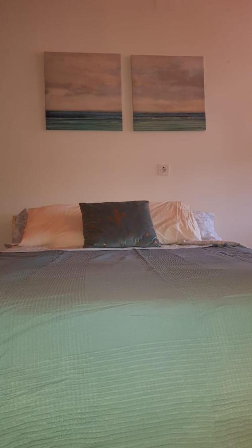 Acogedor Apartamento En Benalup-Casas Viejas Exteriör bild